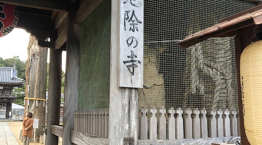 🏯 요다 절(요다지) 이미지 1